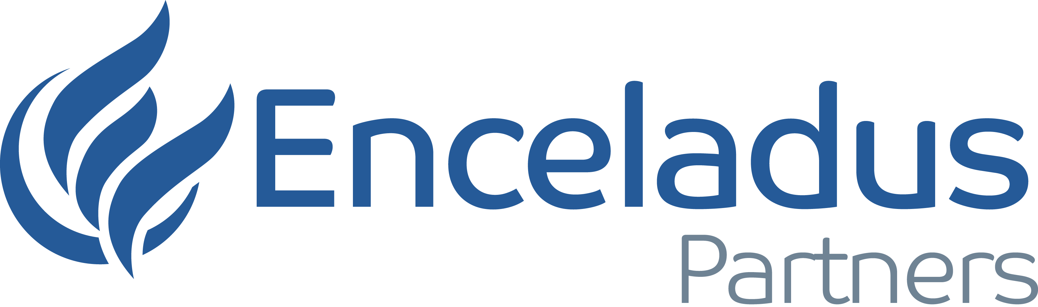 Enceladus Partners